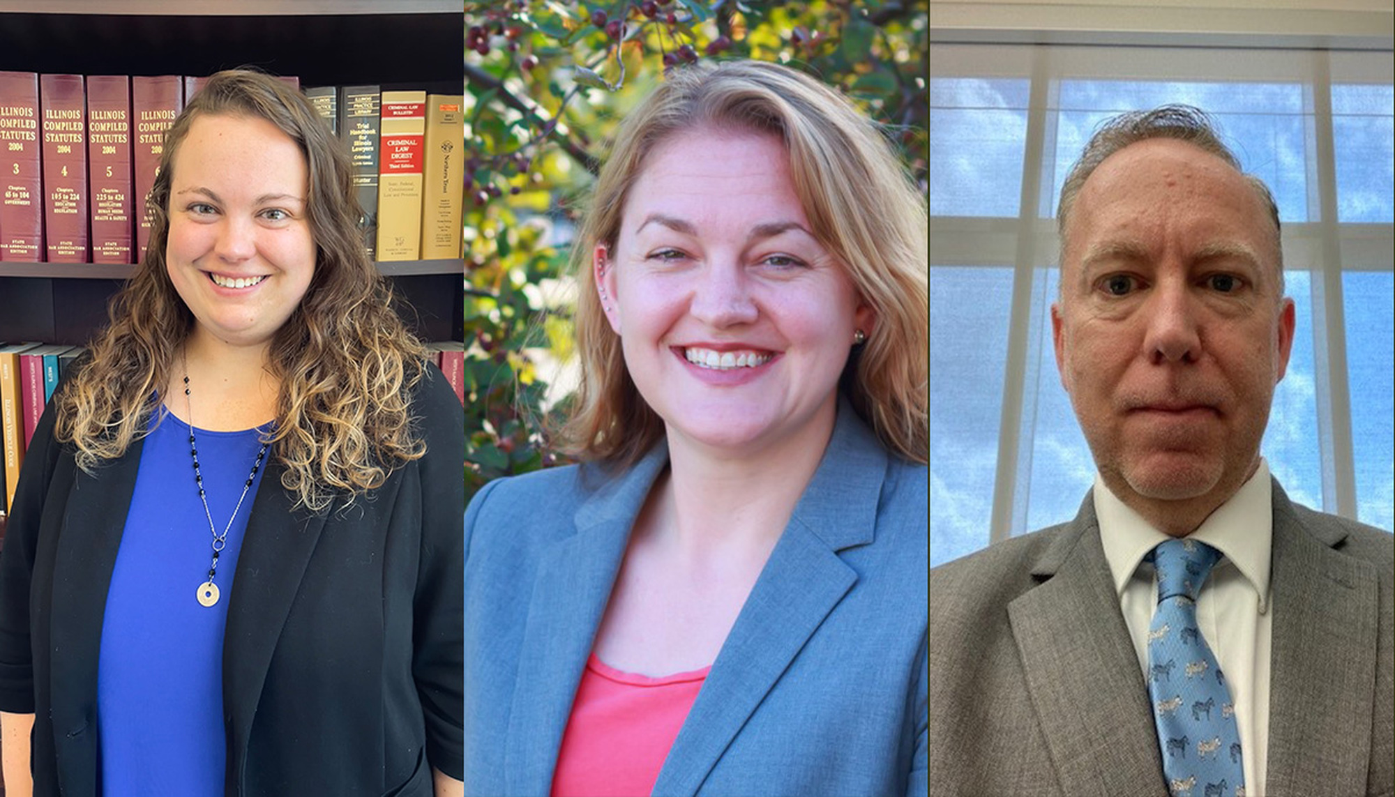 Illinois Public Defenders