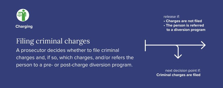 A graphic showing law enforcement decisions including whether to charge a person or not.