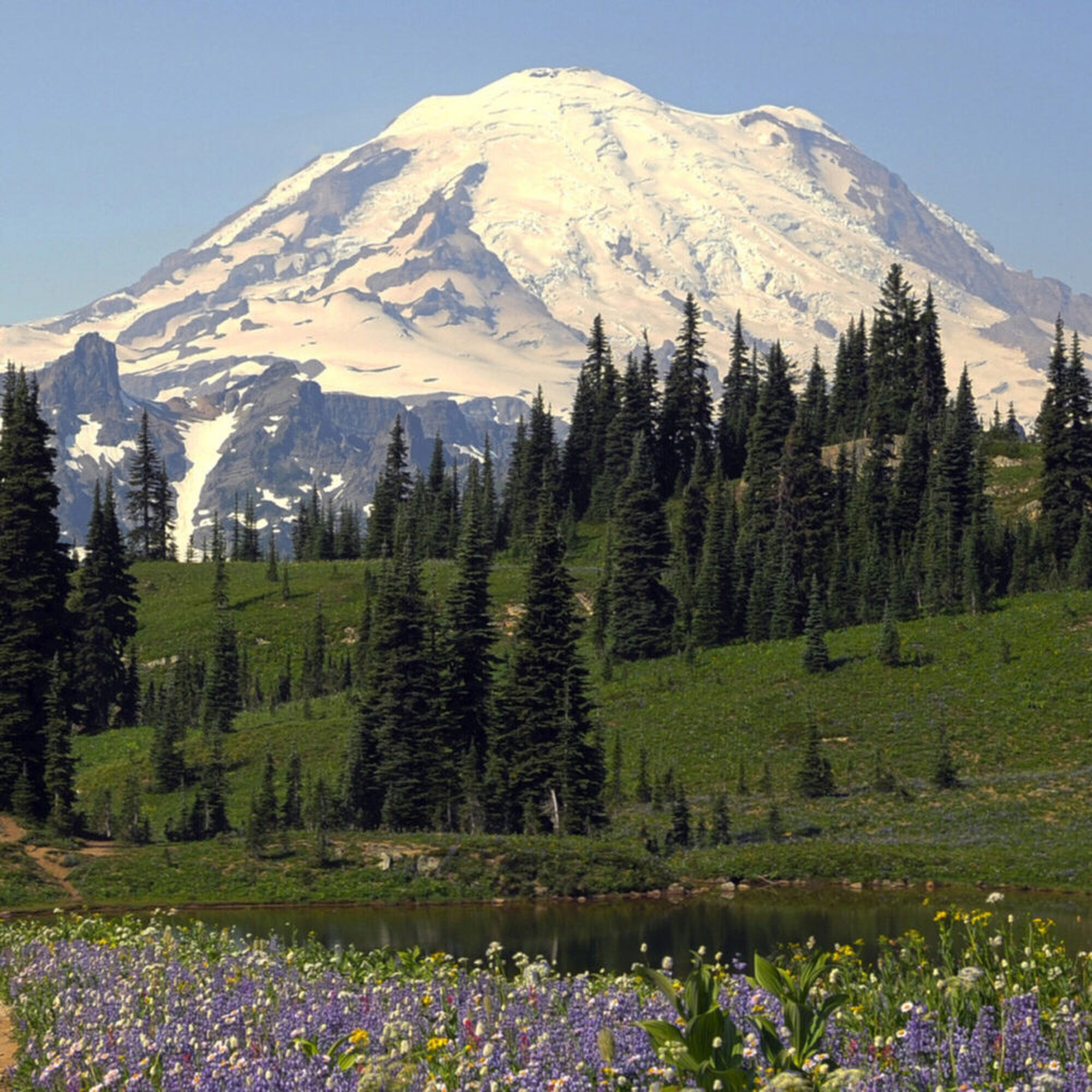 Mt. Rainier in Pierce County, Washington